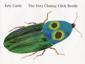 Very Clumsy Click Beetle